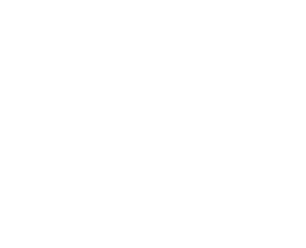 矯正必要